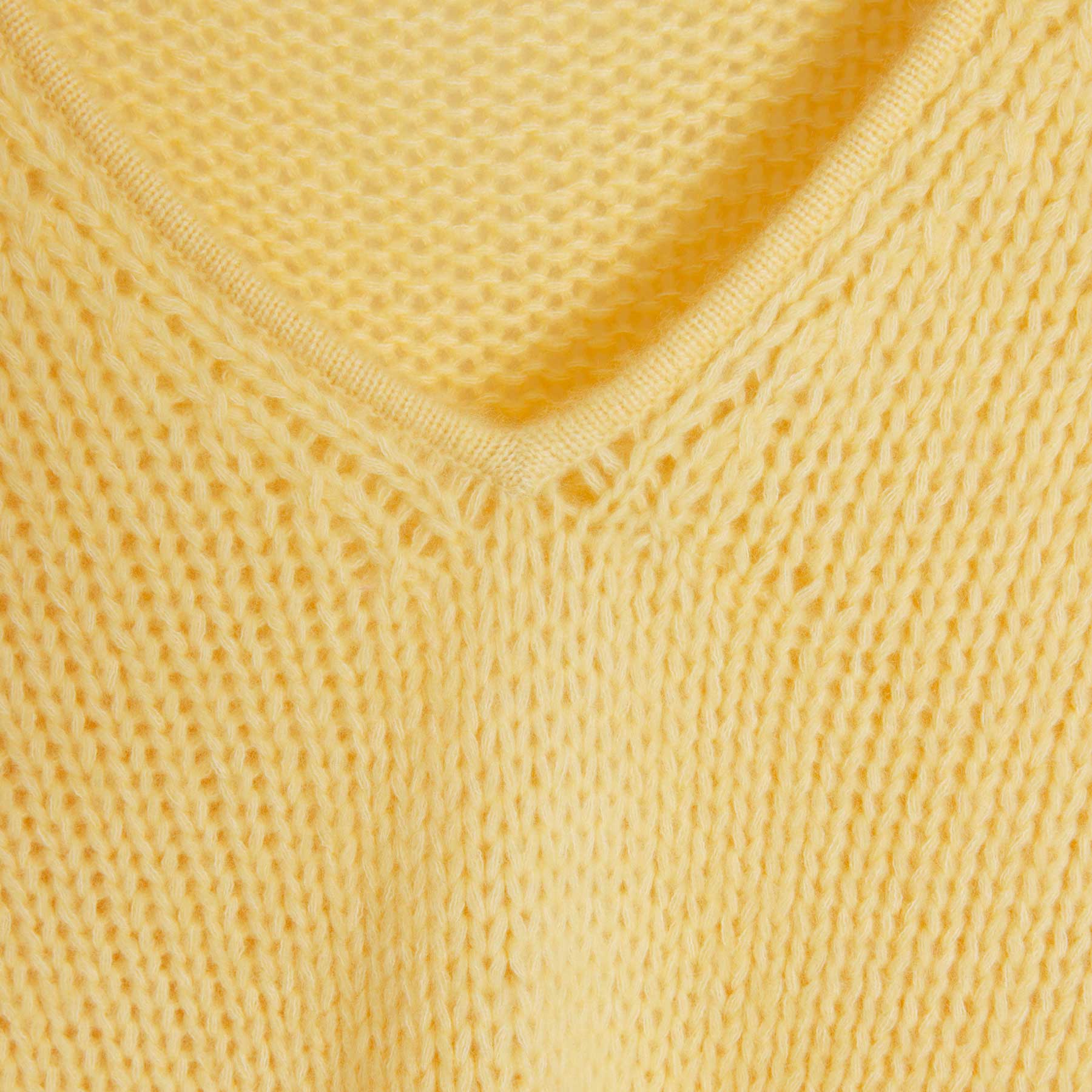 Sweat Caro Daffodil